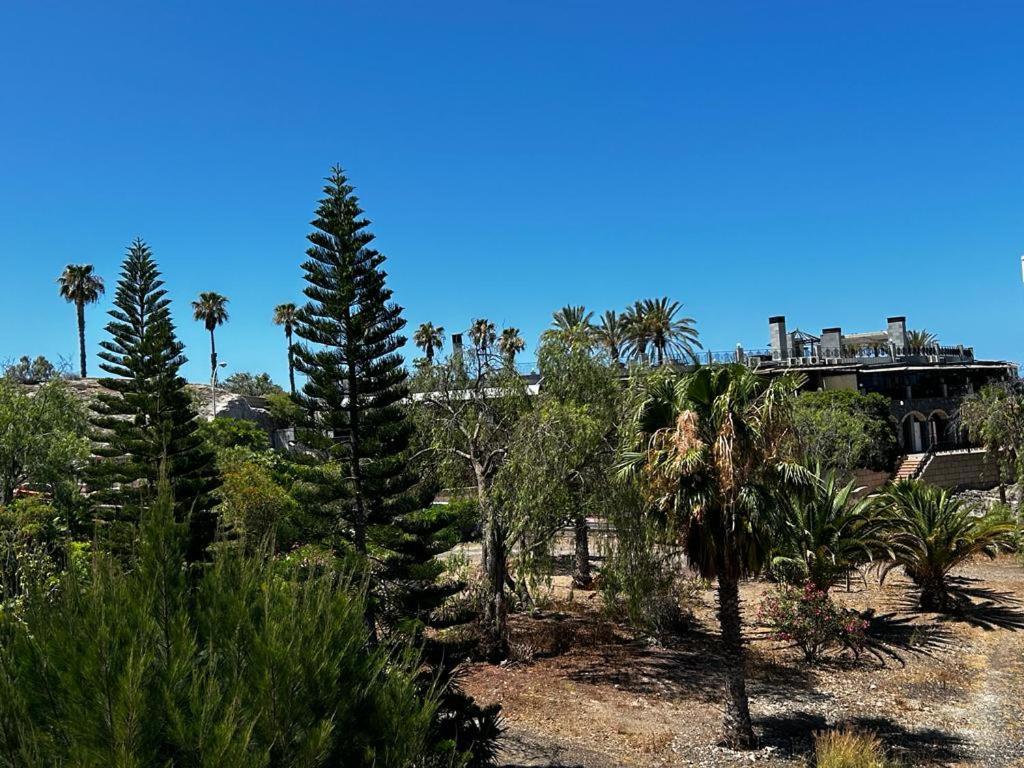 Villa Natali ,Luxury 3-Levels Large Villa On Tenerife, Ocean View, Private Poo L& Barbecue Area Costa Adeje  Zewnętrze zdjęcie